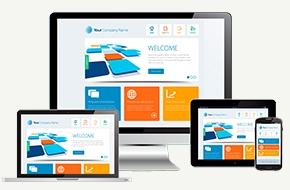 What is a website?